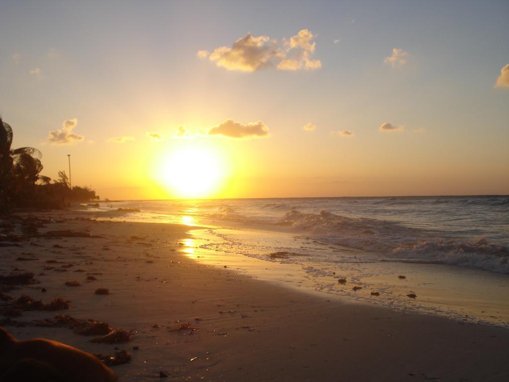 Hostal Beachouse Dive Cozumel