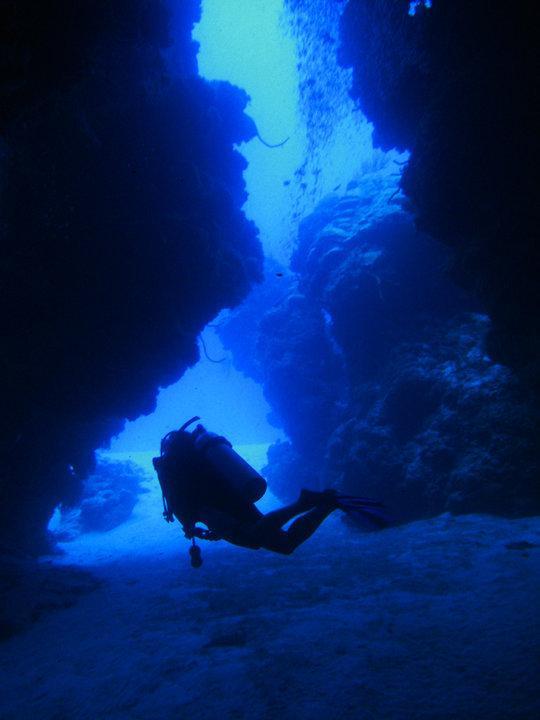 Beachouse Dive Hostal Cozumel