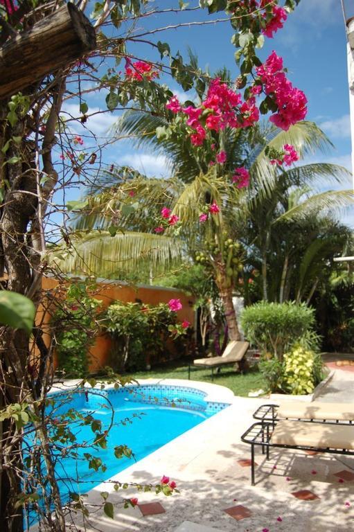 Beachouse Dive