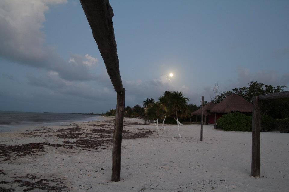 Hostal Beachouse Dive Cozumel