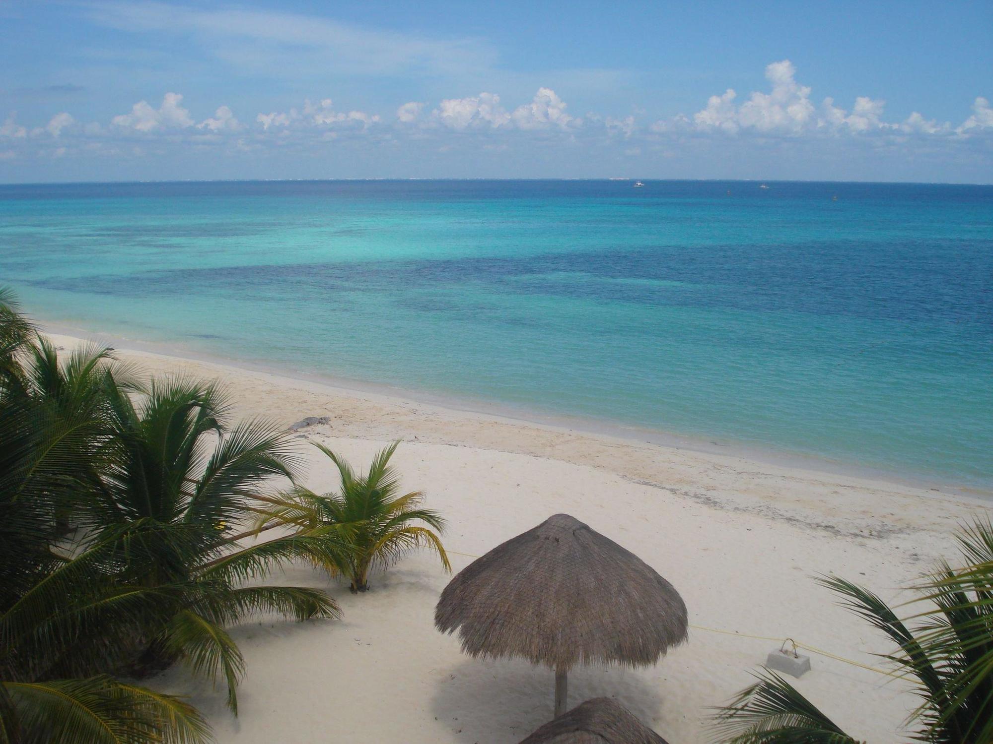 Auberge de jeunesse Beachouse Dive *